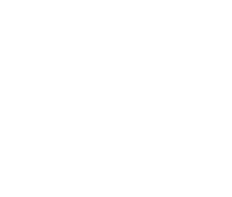 Novus IT